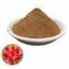 rhodiola rodiola rosea en polvo
