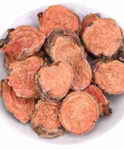 rodiola rosea completo