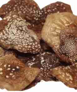 Amanita-Phanterina-Capillas-Cap-Divino