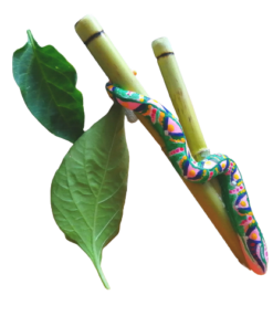 Kuripe Gran Serpiente - Mixcolor Primordial De Bambú